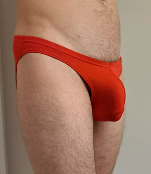 Red briefs bulge!