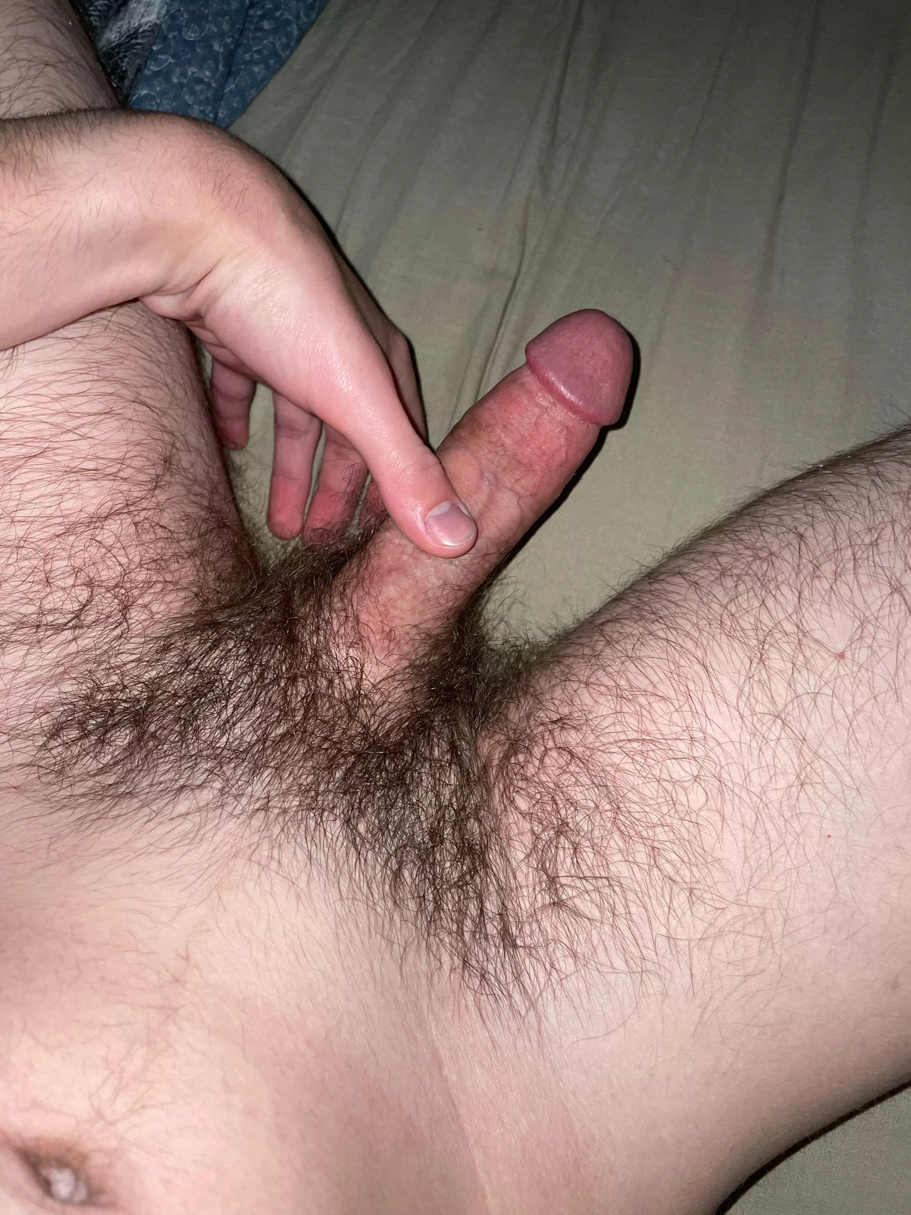 What do you guys think about my morning wood