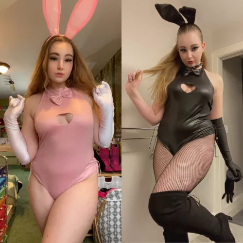 Would you rather adopt a pink-outfit bunnygirl, or a black-outfit bunnygirl?
