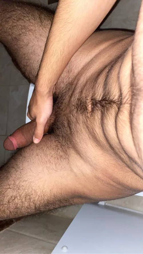 18 straight curious sc shafun11