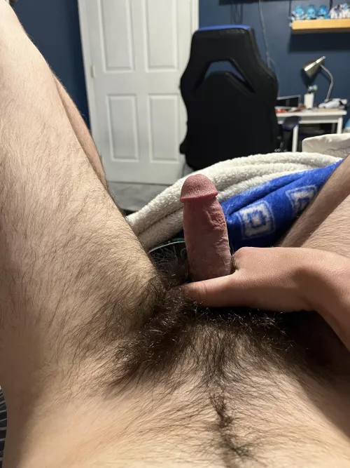 [22] Anyone wanna trade with a hairy average cock? Hmu. Snap: j_jp008