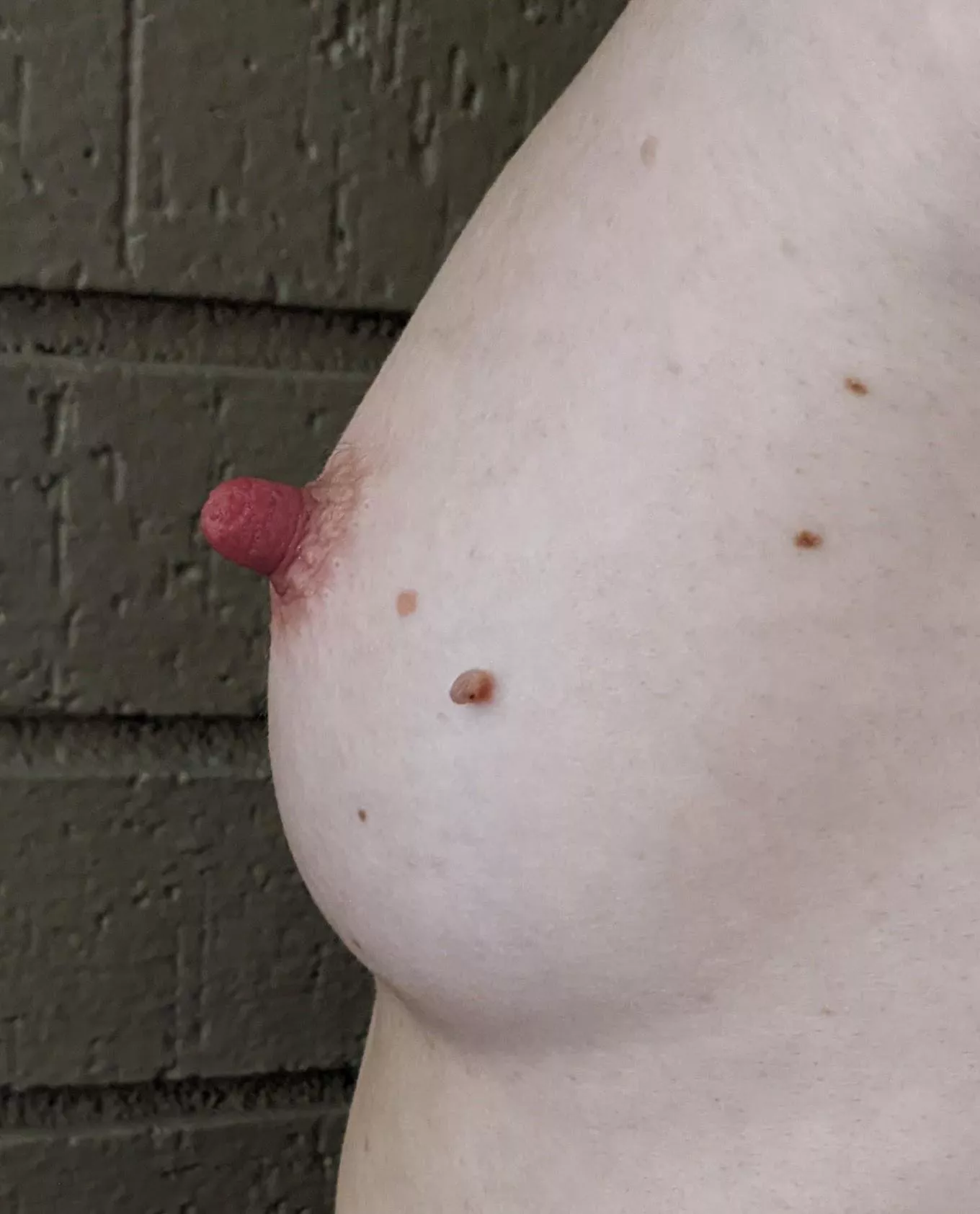 A perky big nipple on a perky little boob on a perky little mom