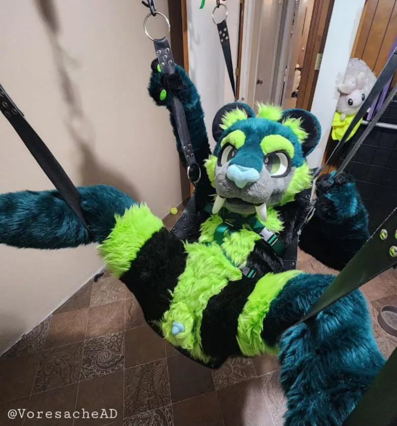 About to have some fun (he/him)