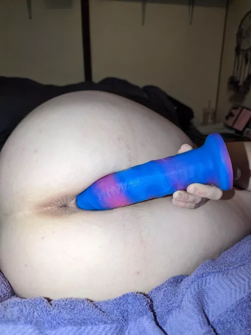 All videos of me taking my 