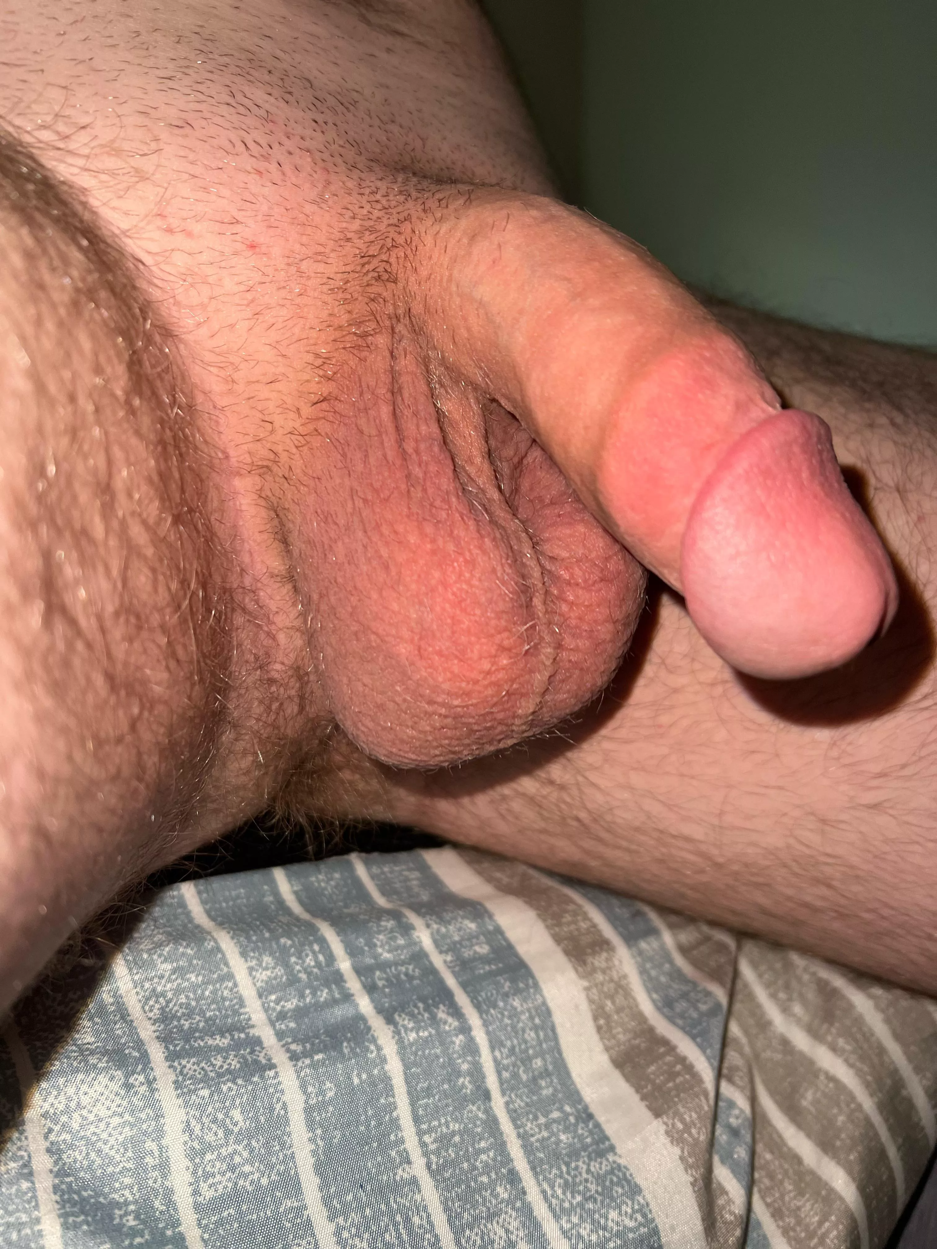 Balls or cock to be sucked first?