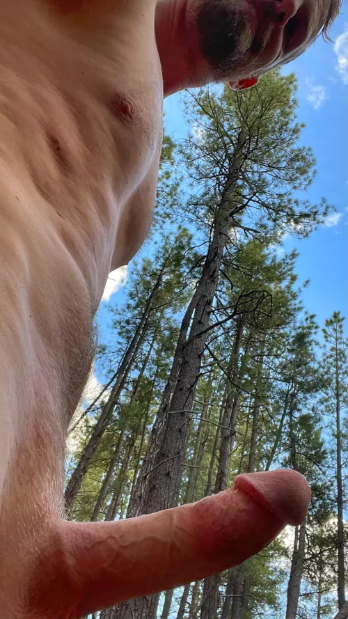 Bouncing around in the woods