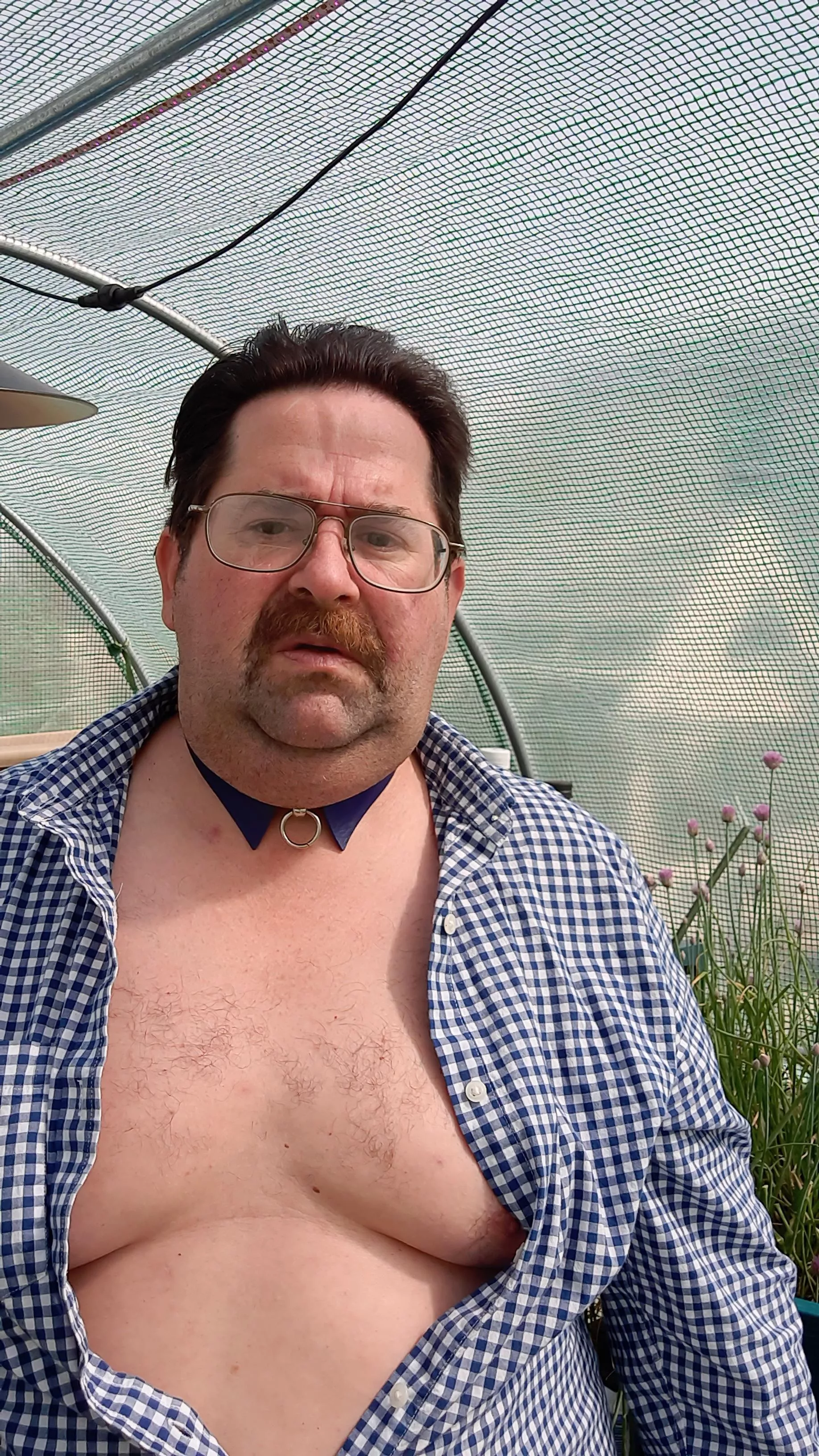 Daddy would love have fun