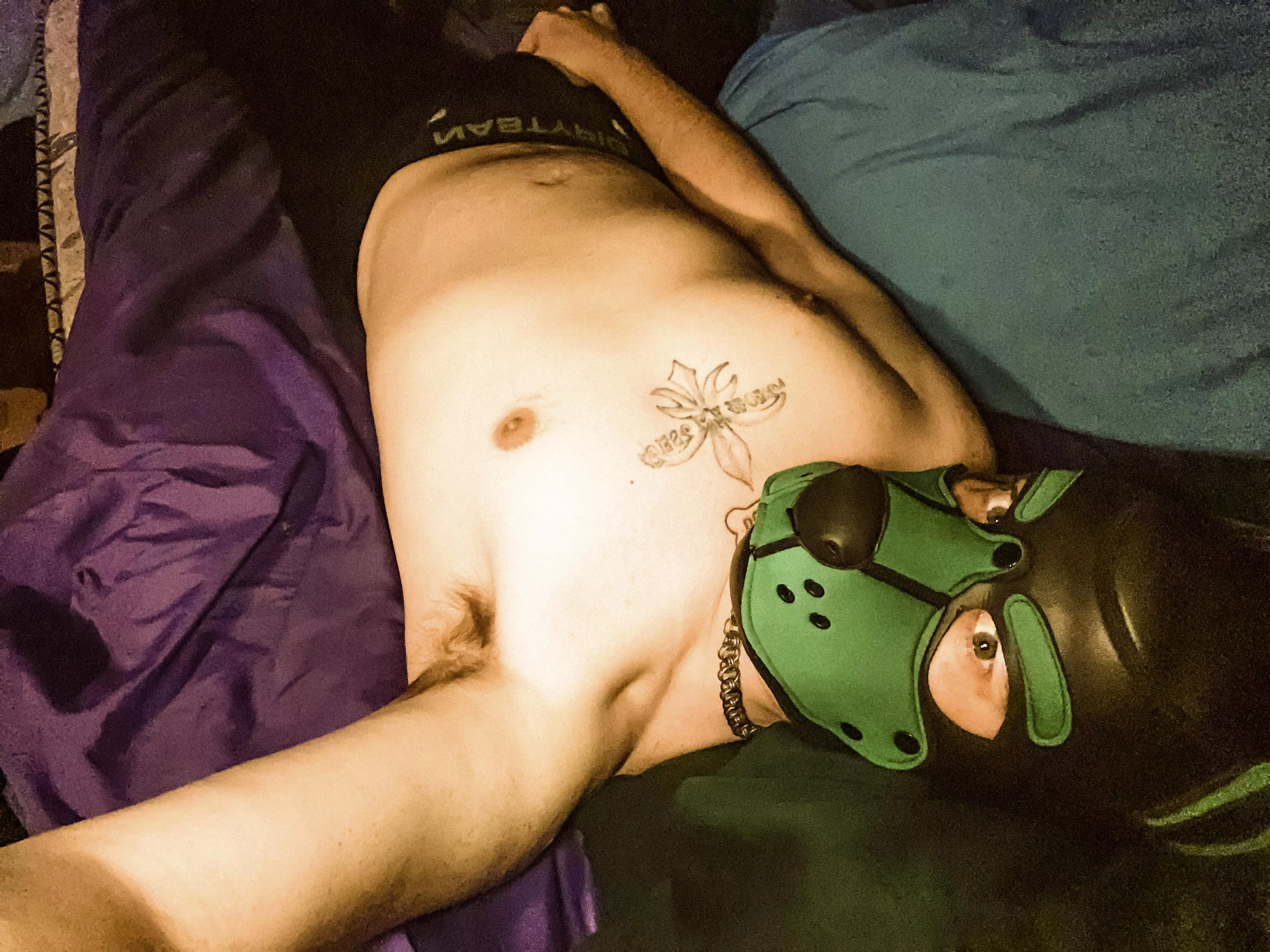 Dozer needs a pup to come sniff him -I mean ummm cuddles wiff him