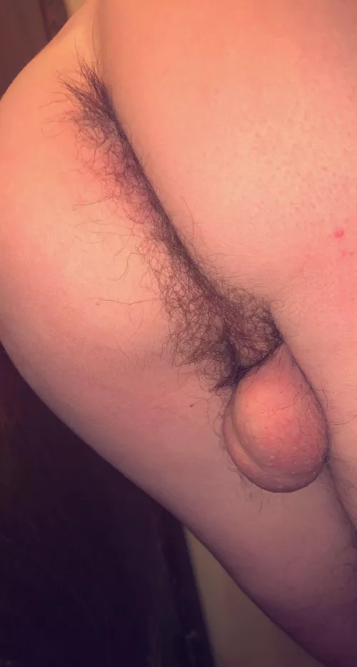 Hoping a fuzzy bear will see this and become mine🥺🐻🥰