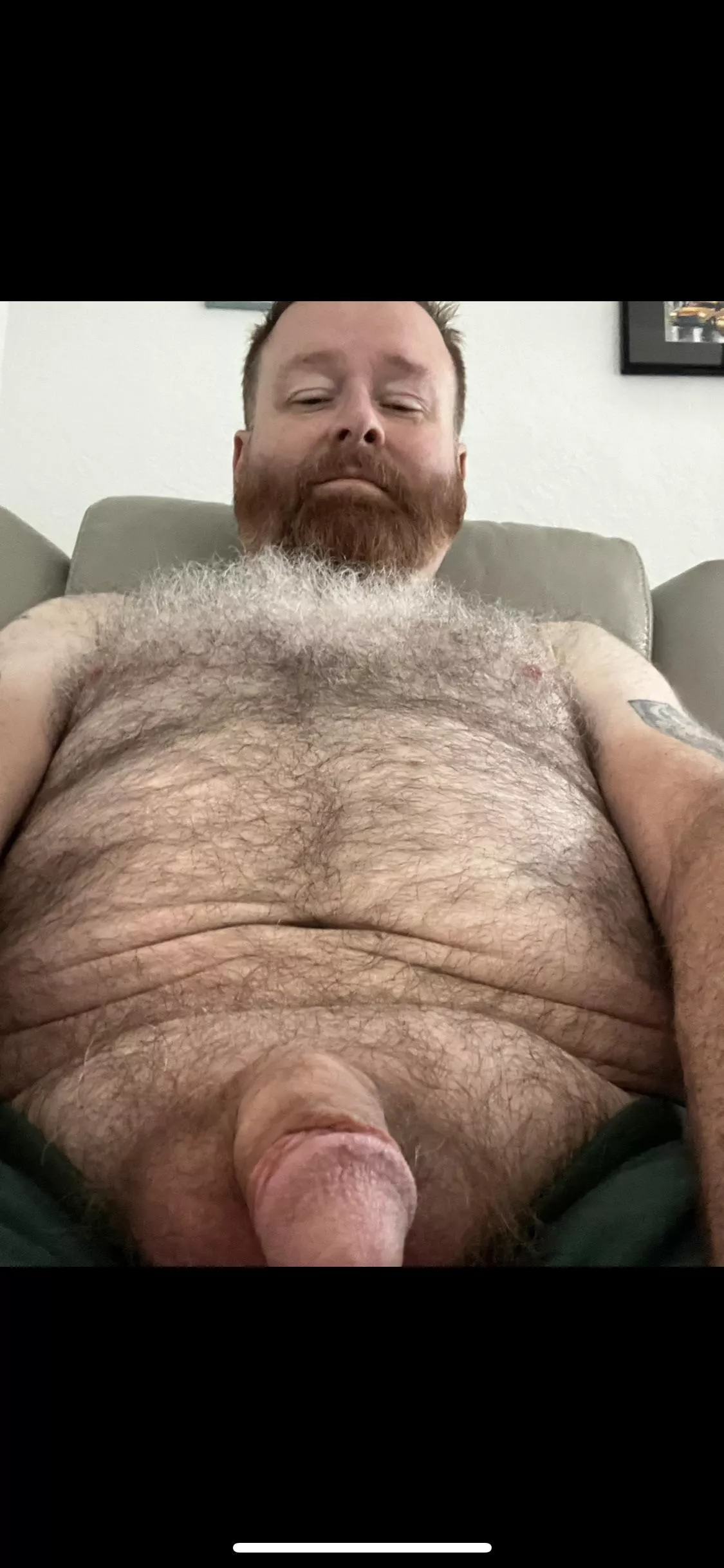 Just a bear in Texas