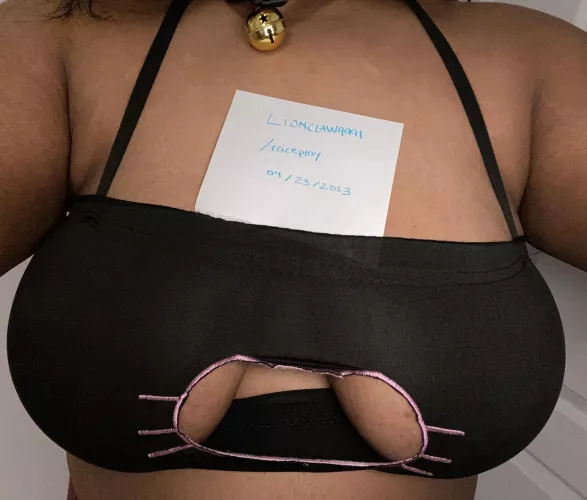 little kitty verification!!