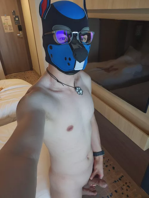 Mako's back from my vacation at sea!