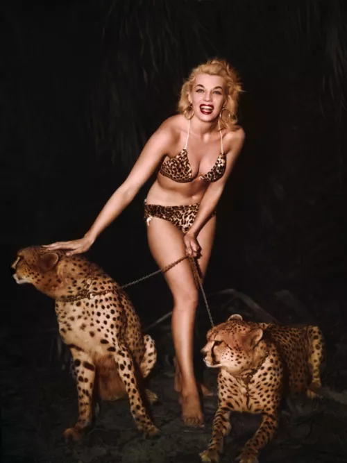 Maria Stinger (1954)