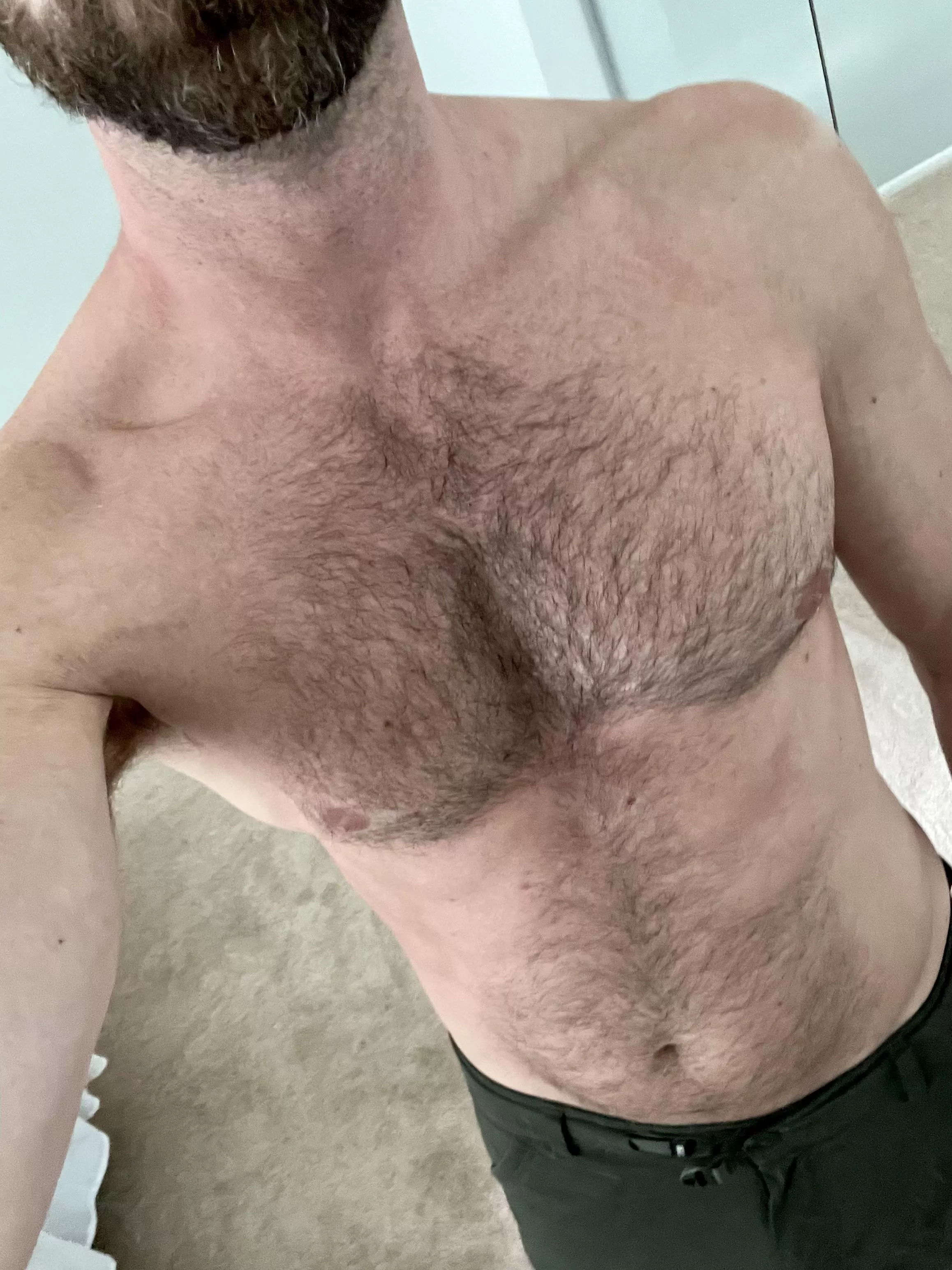 To Trim or not to Trim is thy question. Whether 'tis nobler in the…