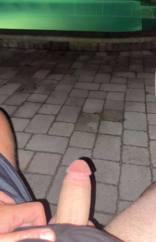 Whipped my cock out at the pool