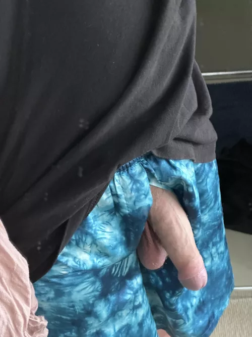 Any thoughts on my softie?