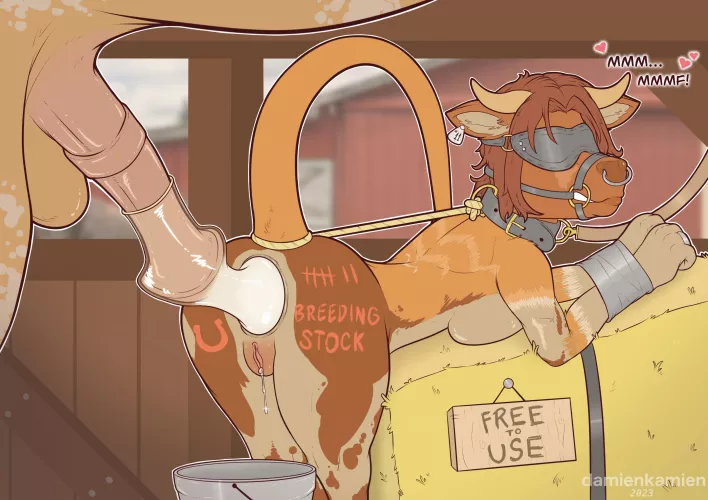 Breeding Stock~🧡 [MF] (Damienkamien)