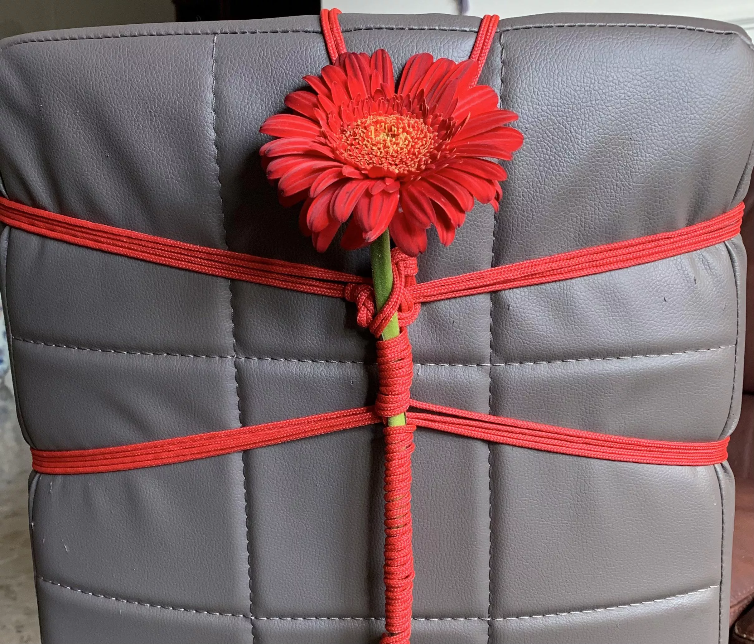 Capturing the beauty of flowers