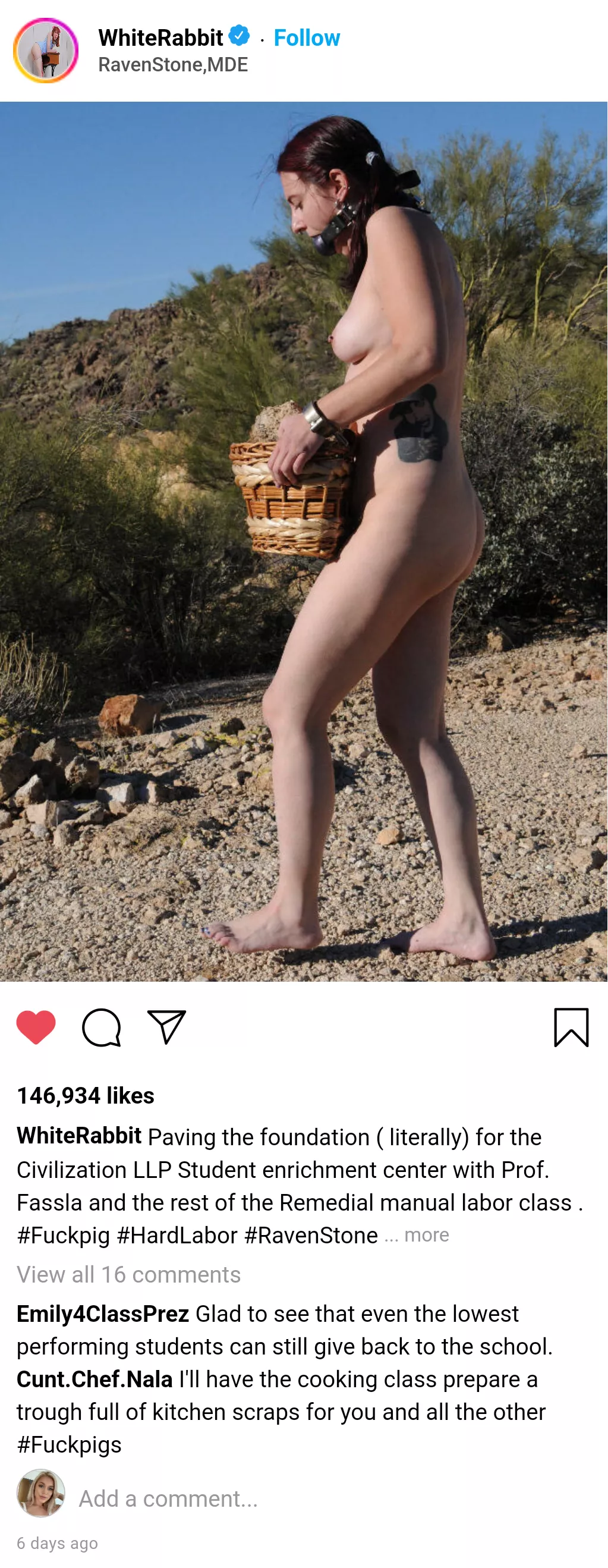 [Cuntstagram] Ravenstone has alot of opportunities for FuckPigs who are falling behind their fellow students. Way way behind