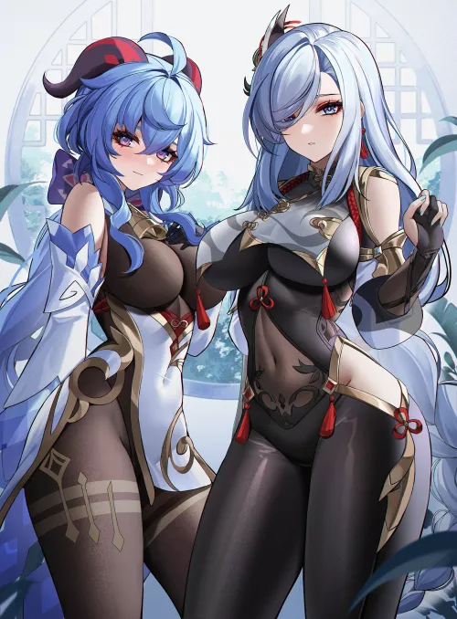 Ganyu & Shenhe [Genshin Impact]