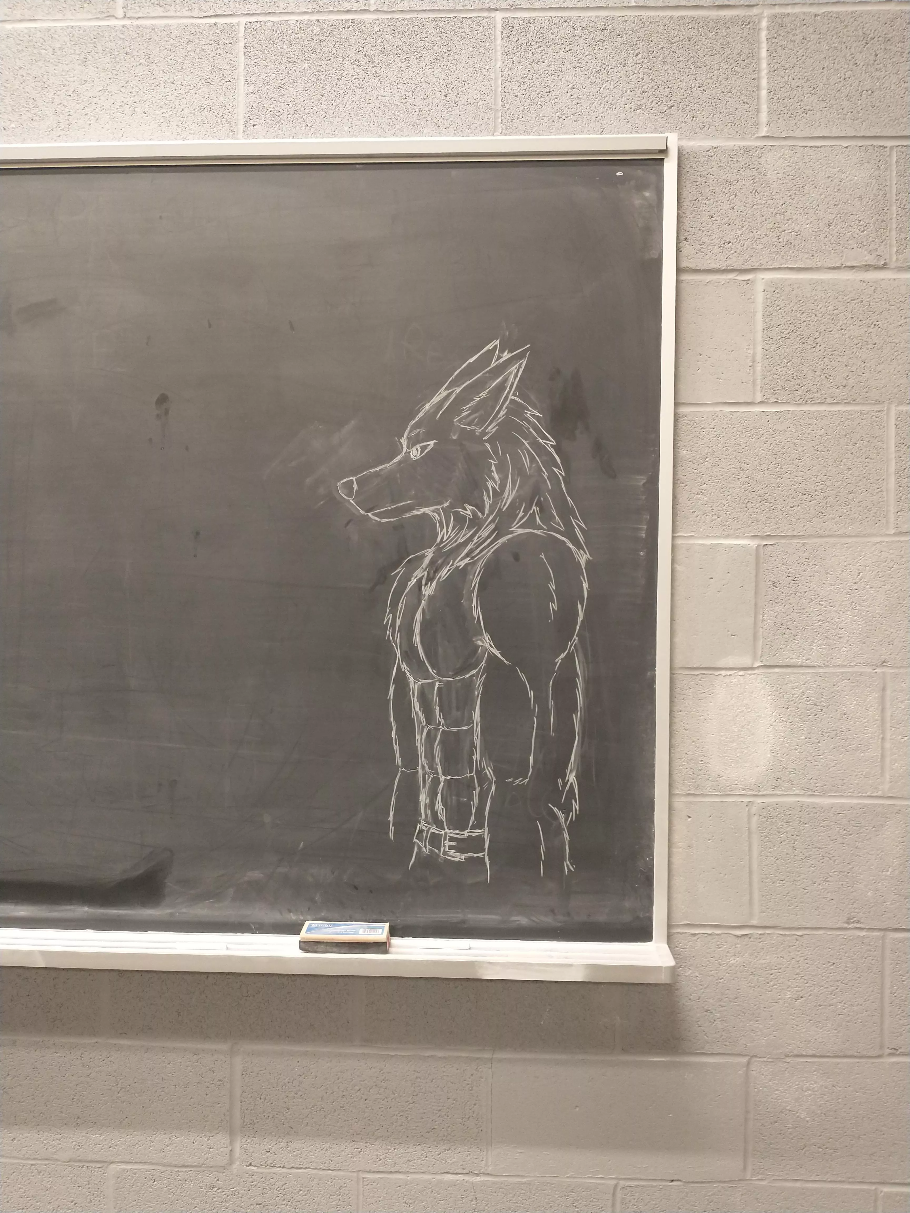 midnight chalkboard art (by me @furry_incognito)