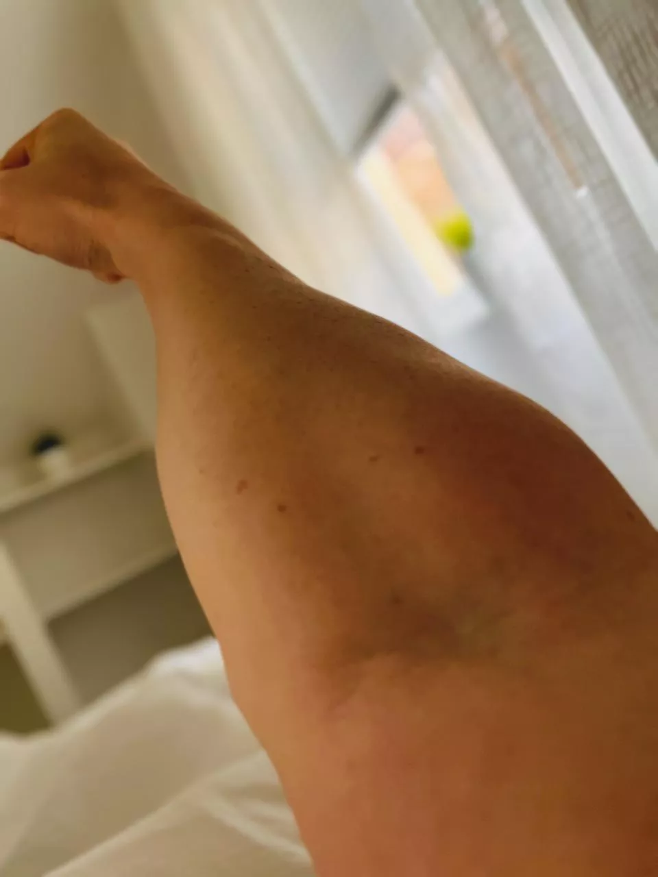 Norwegian Viking (34)