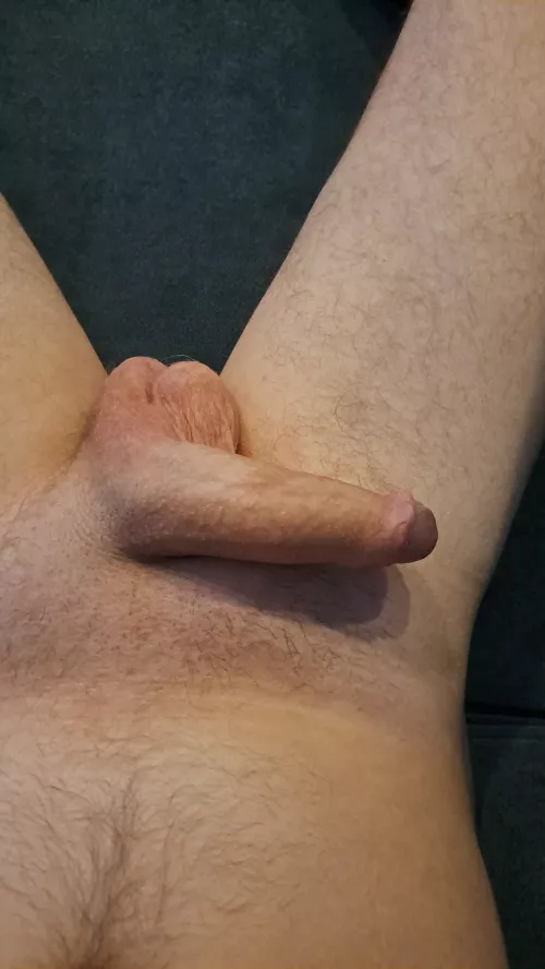 Spring means trimming the hedge