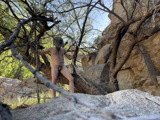 🌳 Tree pose Tuesday