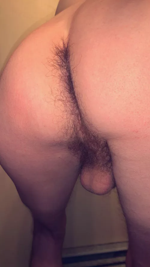 Any fuzzy bears wanna cuddle me🥺🥰?