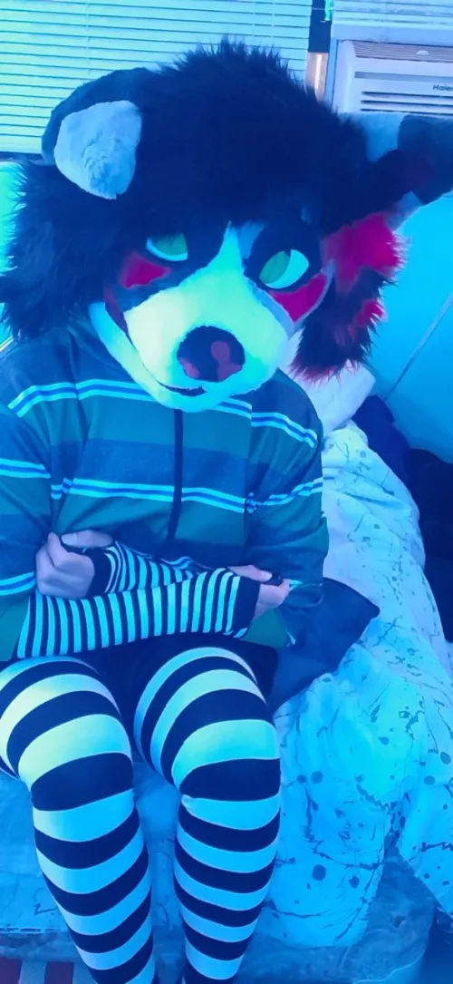 Hiii, I'm new here. What do you think of my fit?~ xDDD