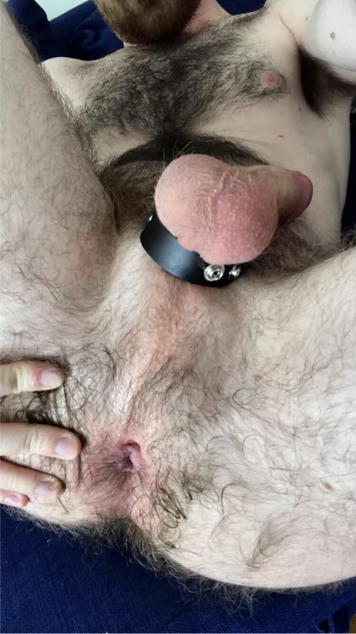 Hungry hairy hole