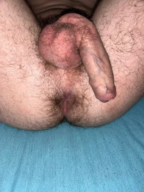 I am 19 and I need some Hairy Hole lovers. DM me if you are interested😏