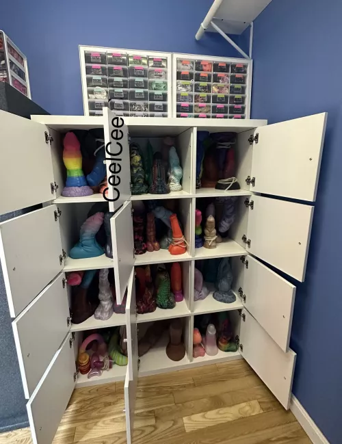 I moved and first thing I did was FINALLY organize my dongs! No longer haphazardly thrown into bins! 💕 There’s a variety of makers shown here.