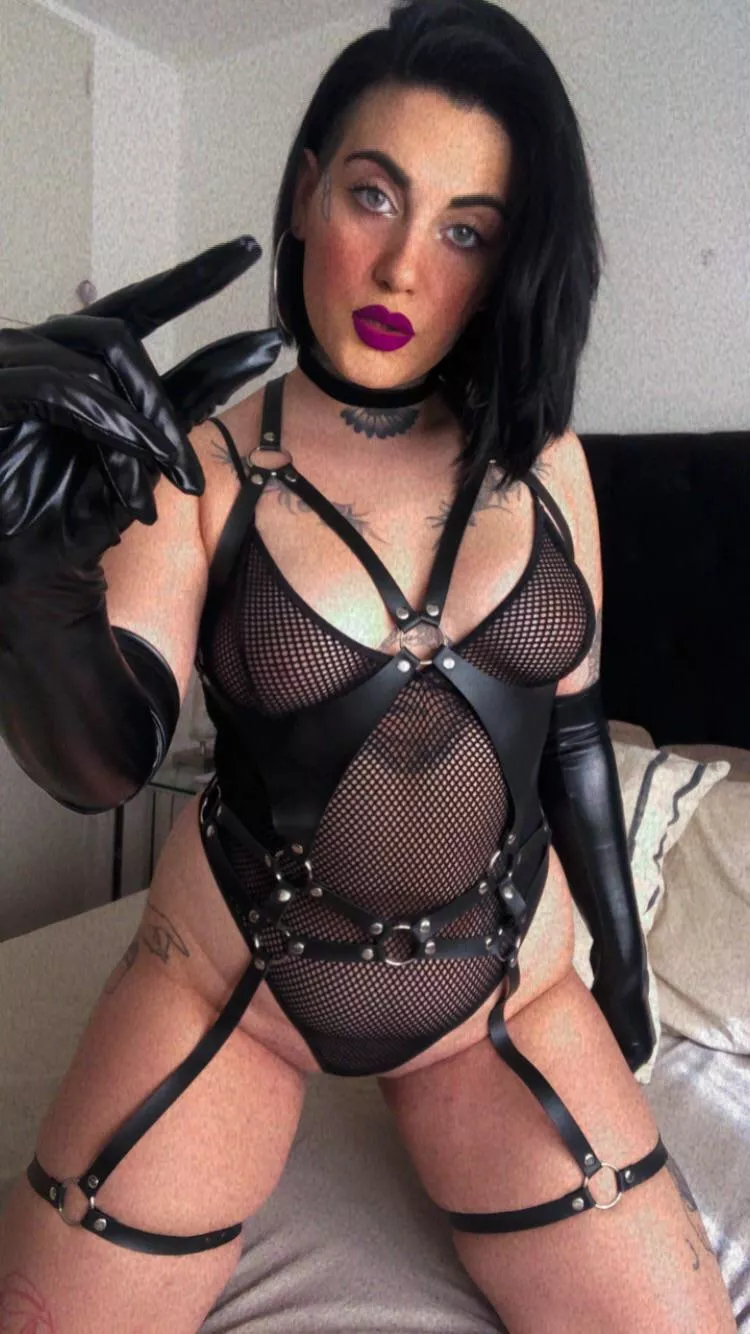 Is there anything in this world you would prefer more than laying between these legs and body ?