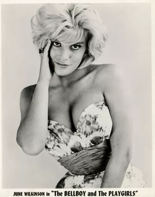 June Wilkinson (1960s)