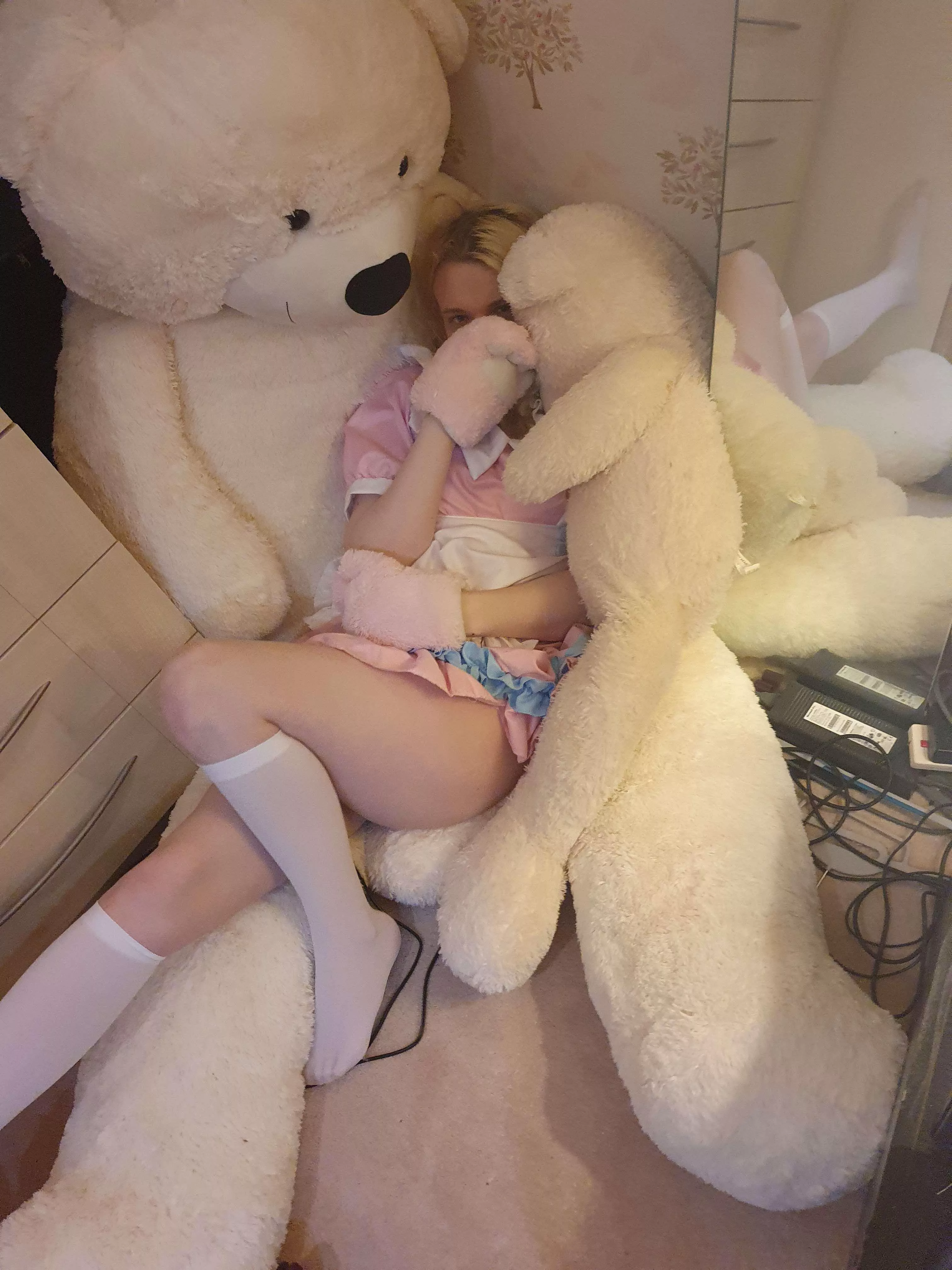 lil cute trans kitten