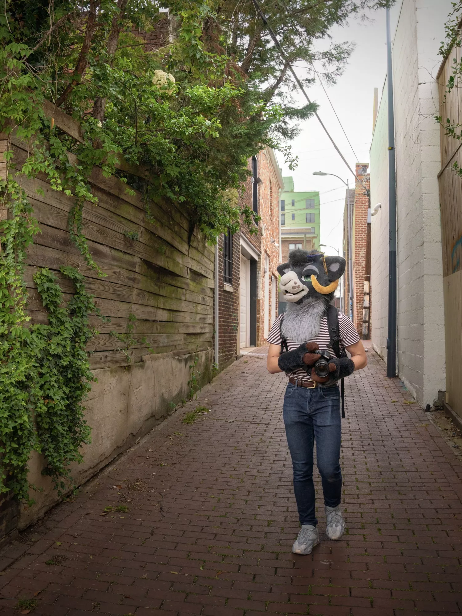 Nature takes it back