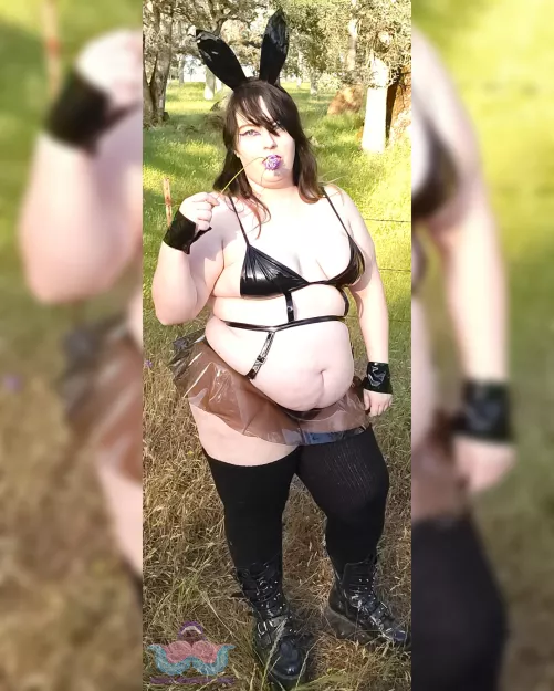 This curvy bunny is ready for breeding season