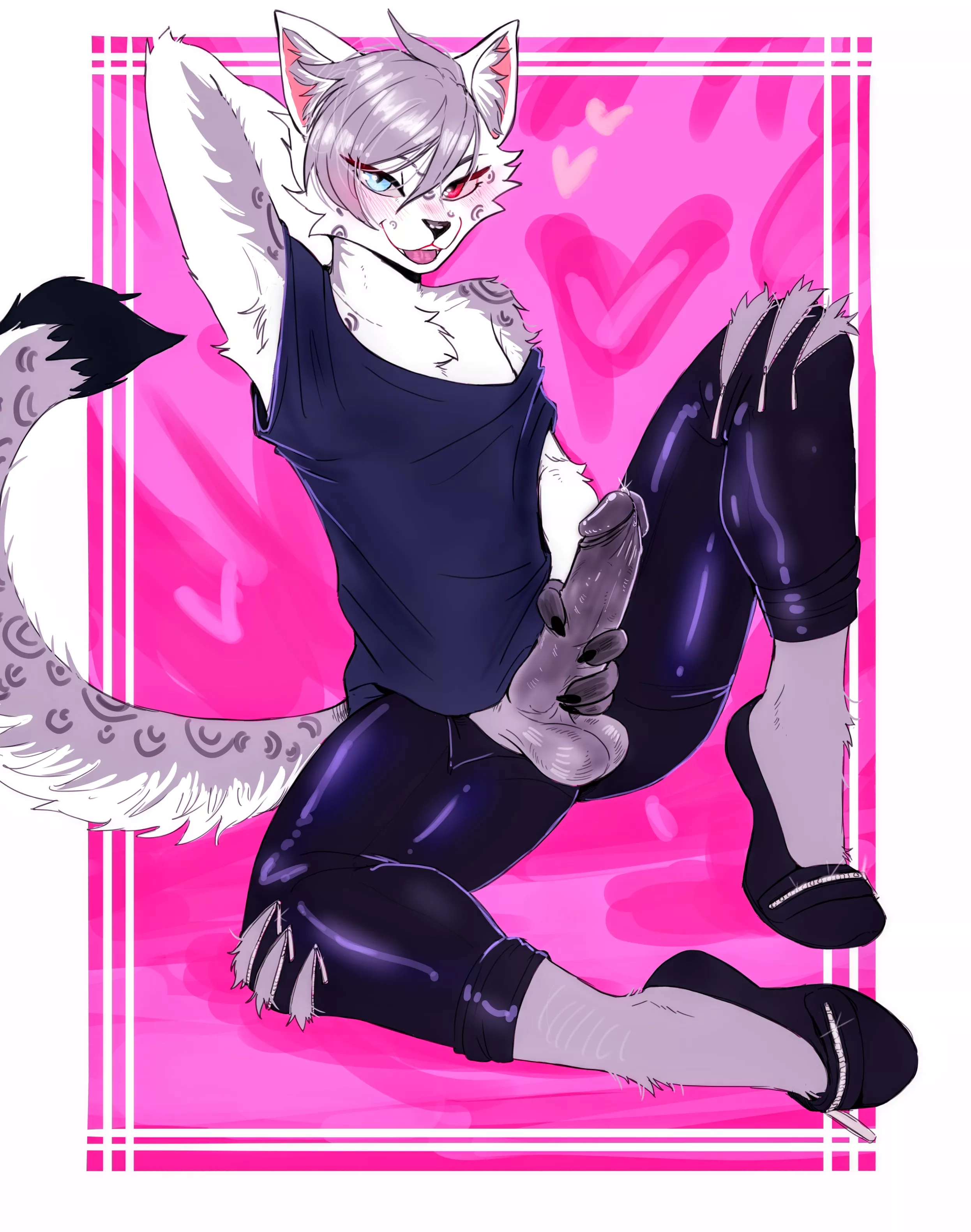 This cutie is ready! (SiffeyWolf)