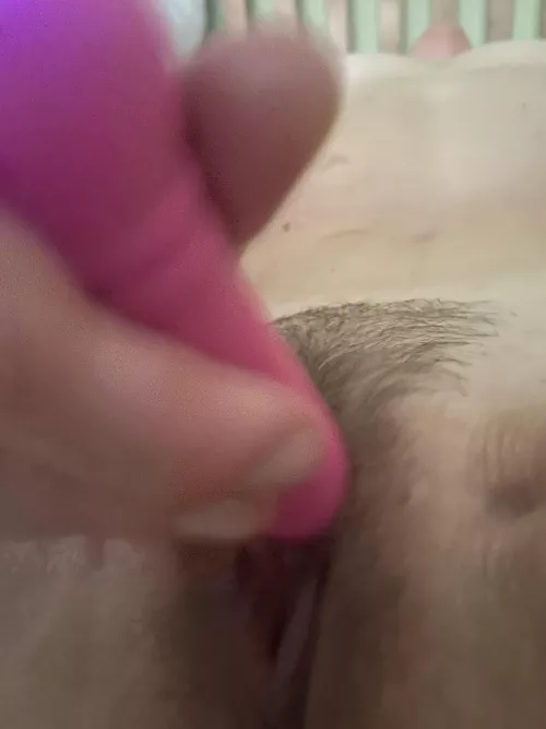 Tidy and happy bush is the best kind!