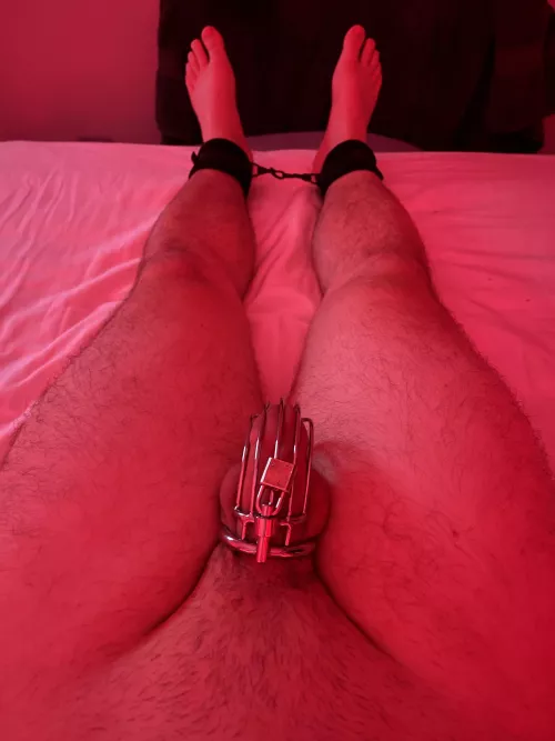 Tied and locked