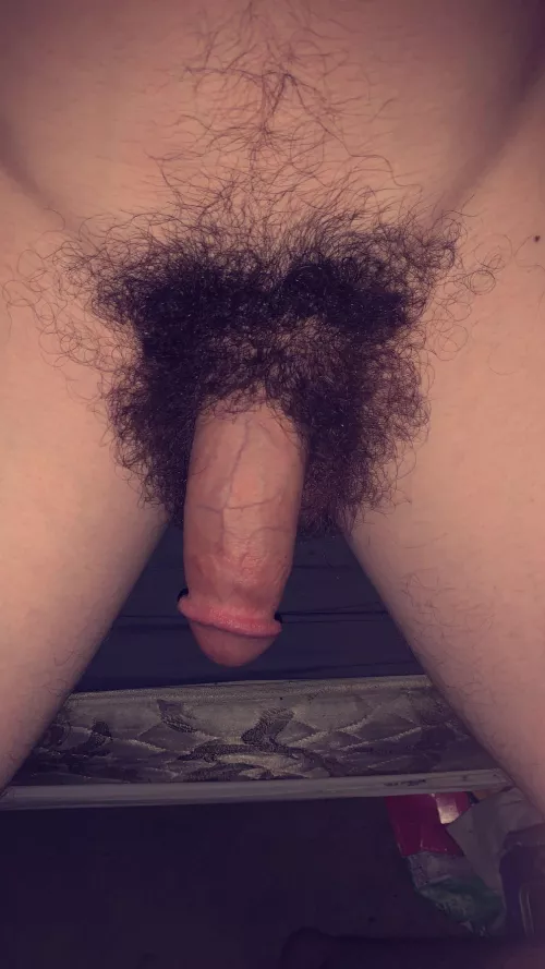 Trying my best to find a fuzzy bear to love 🥺🐻