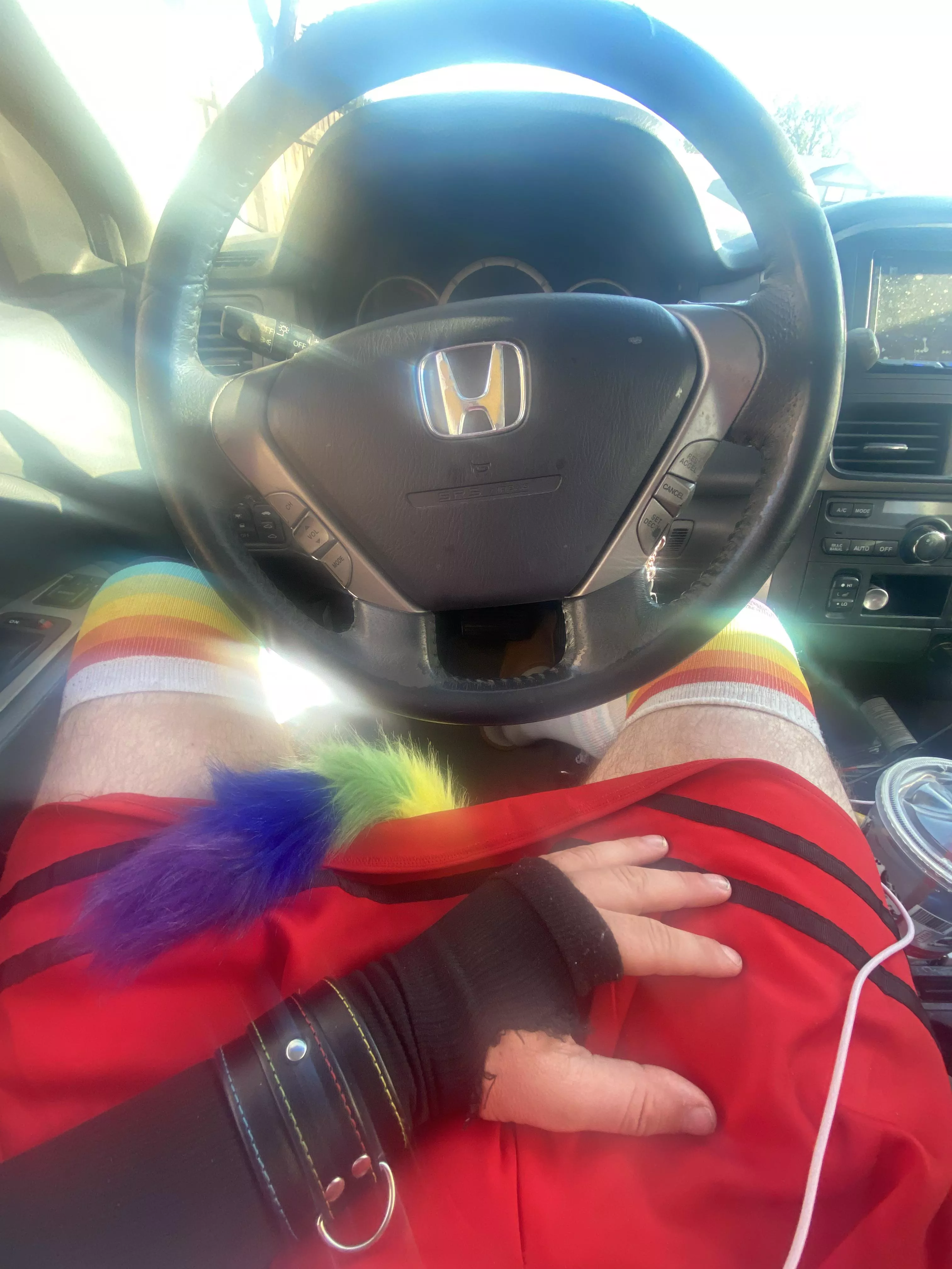 Went on a roadtrip to a furcon and my top half was dressed normally but my bottom half…