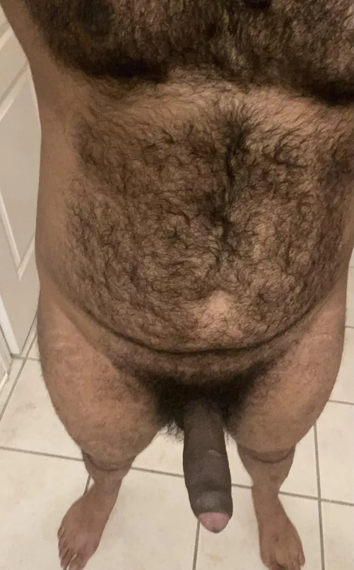 Your POV of the dark beast