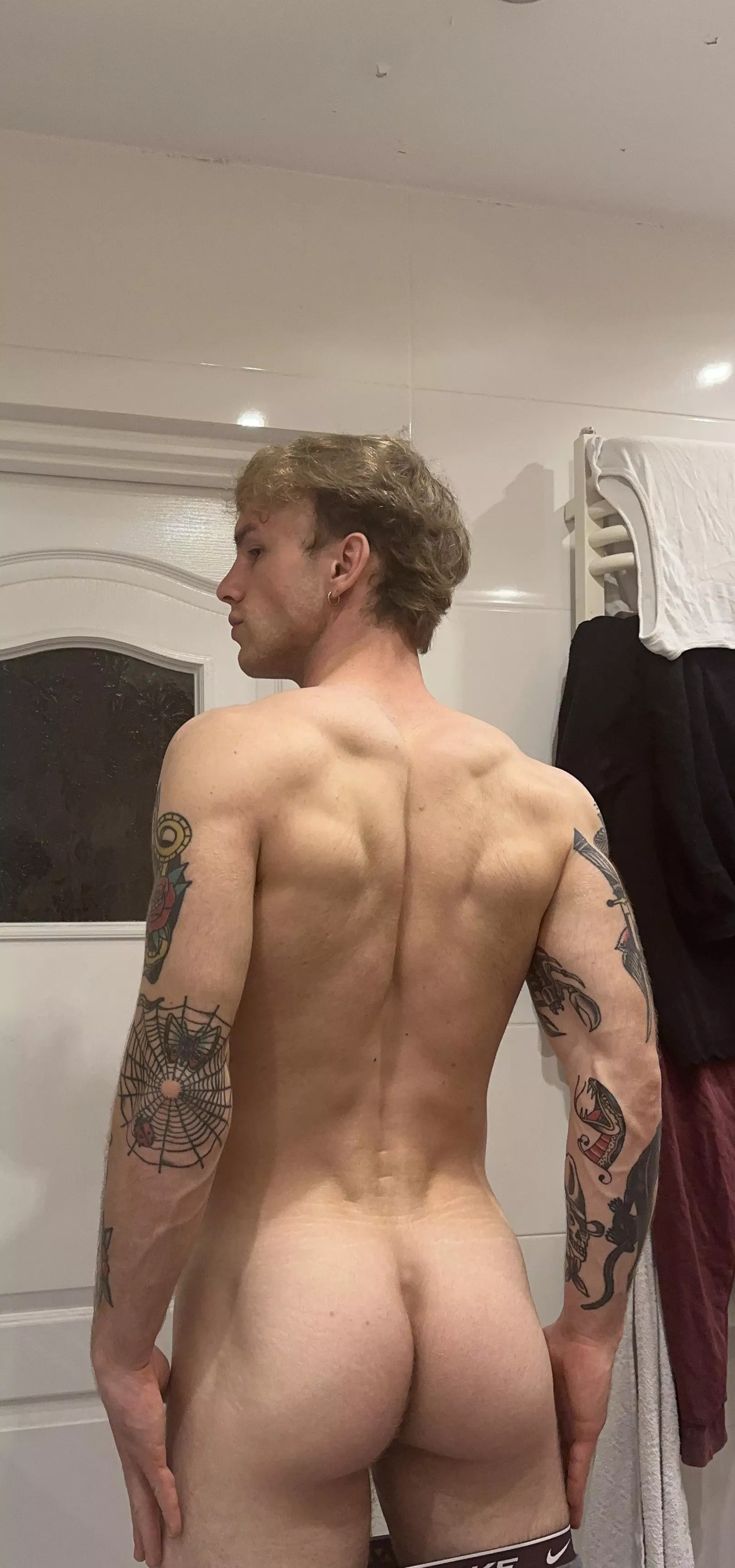 Alpha looking for a prey