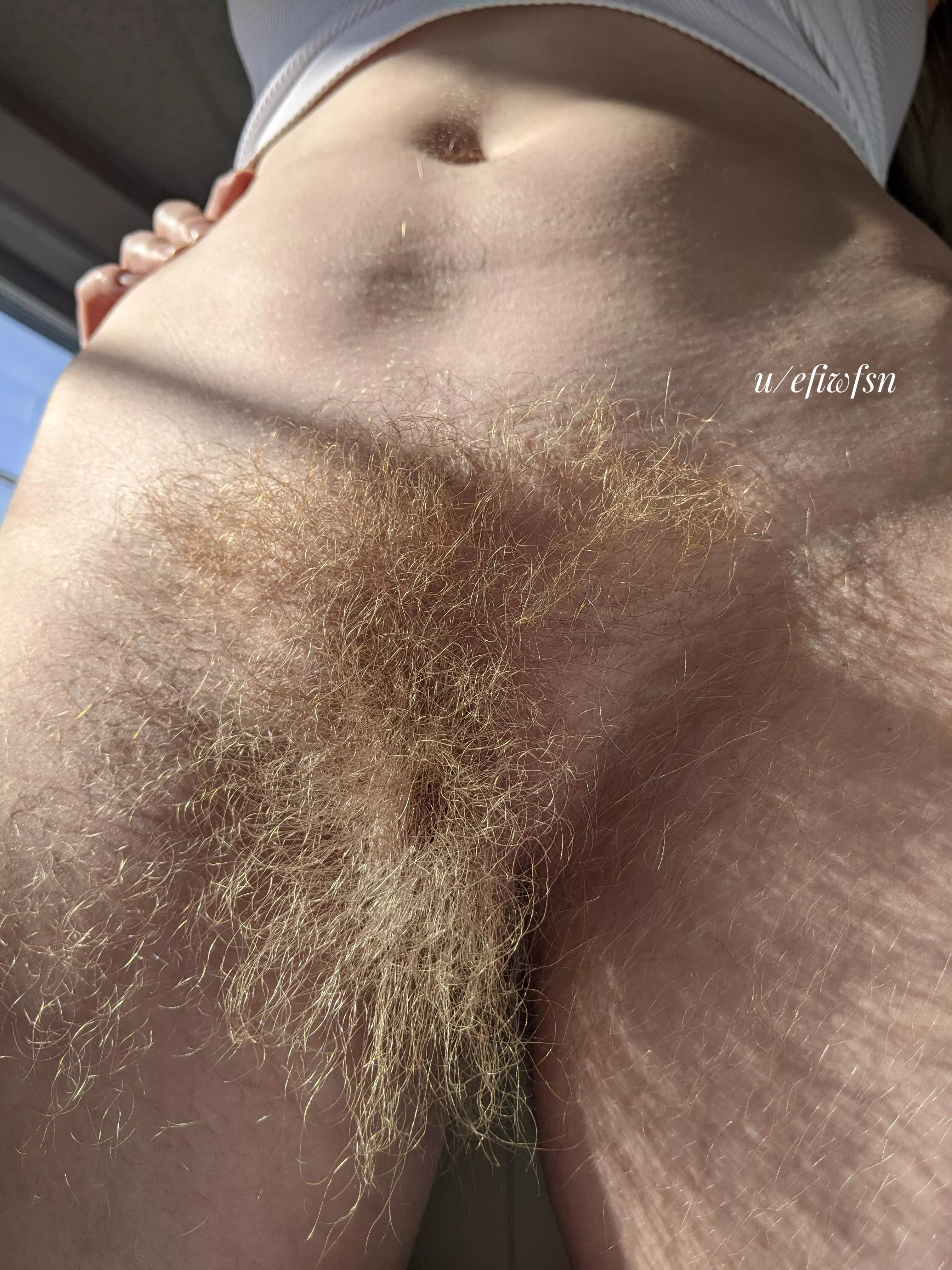 Are rugs supposed to grow this big?