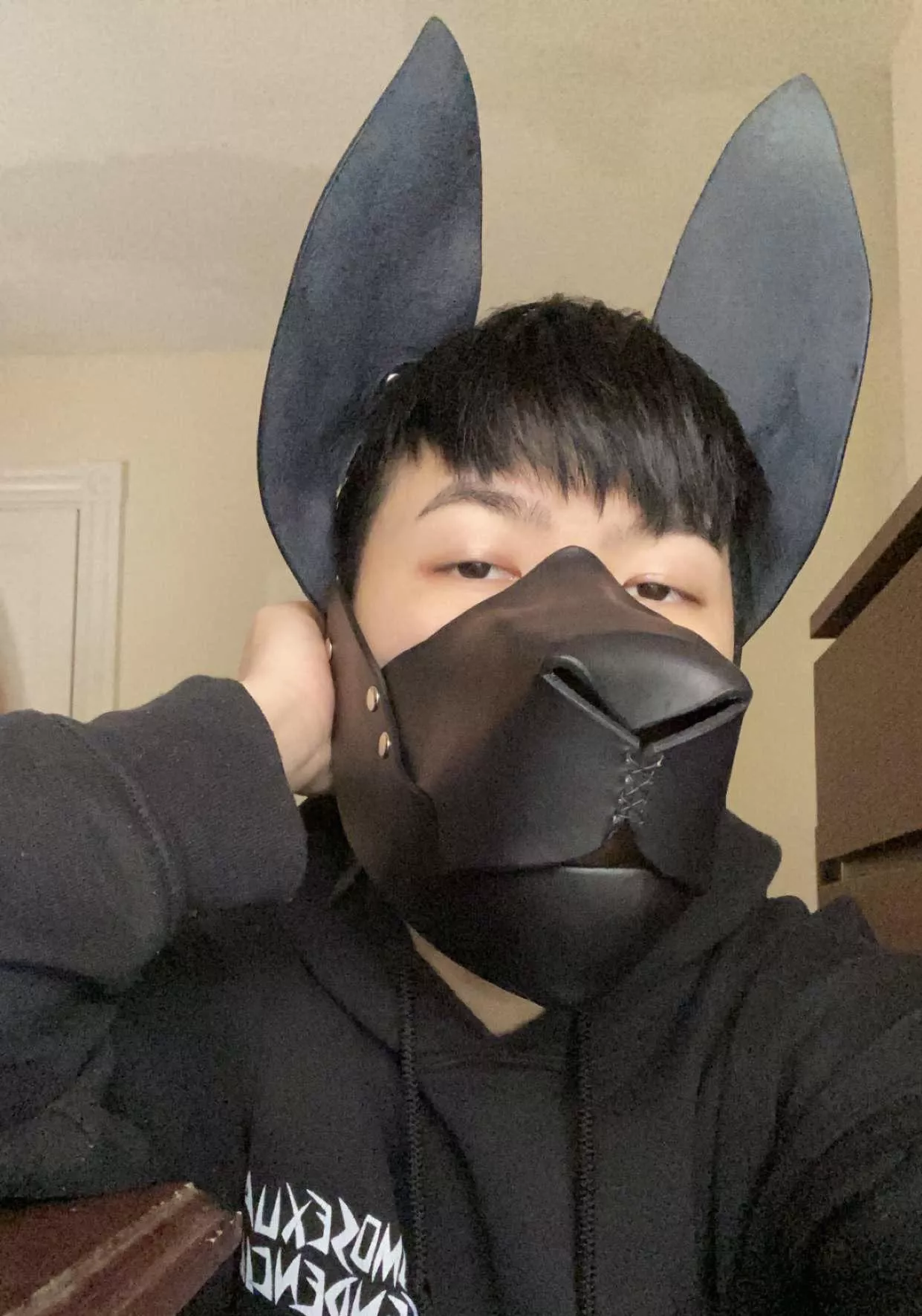 Baby’s first pup gear~