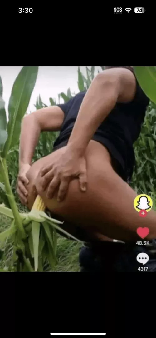 corn all in