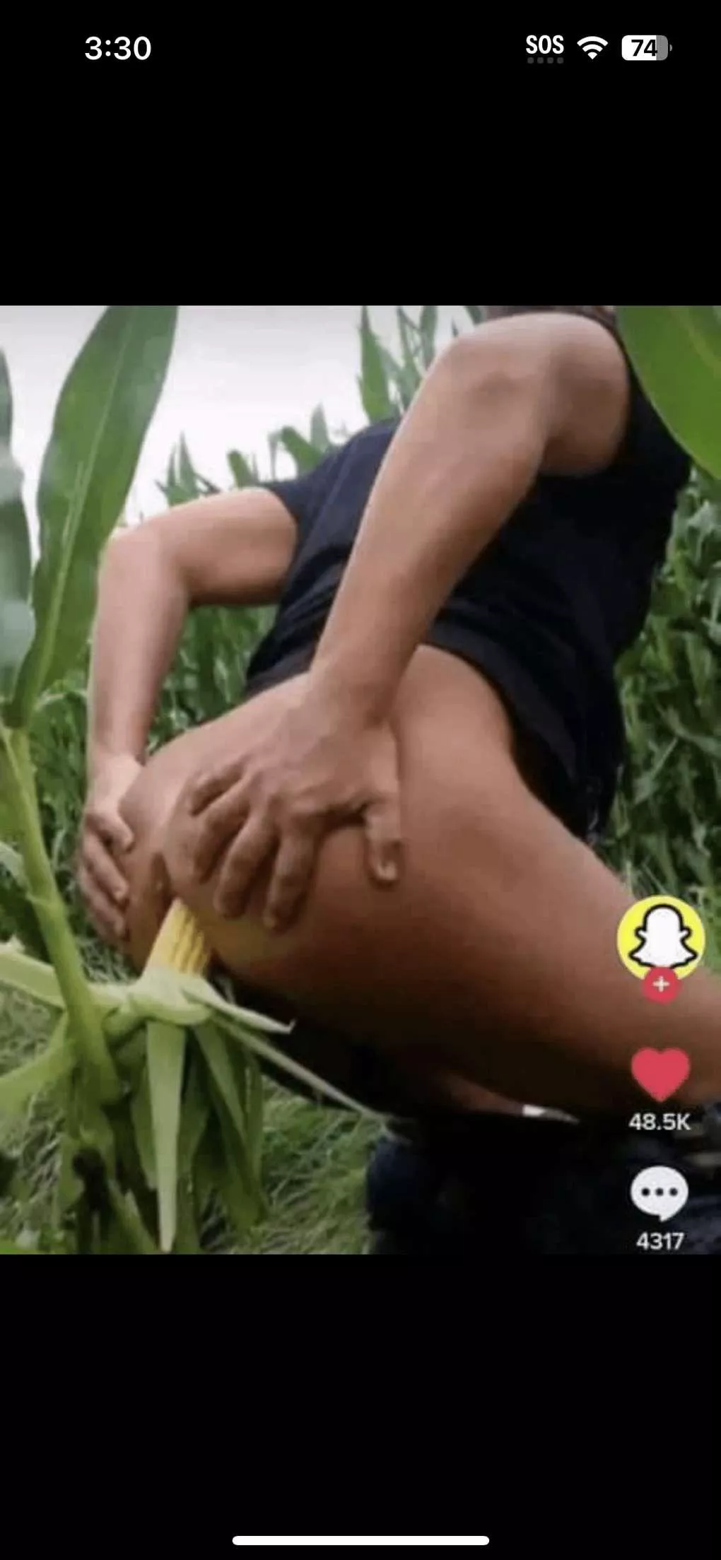 corn all in