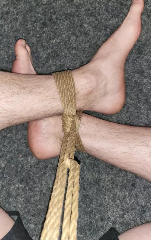 Getting back into things